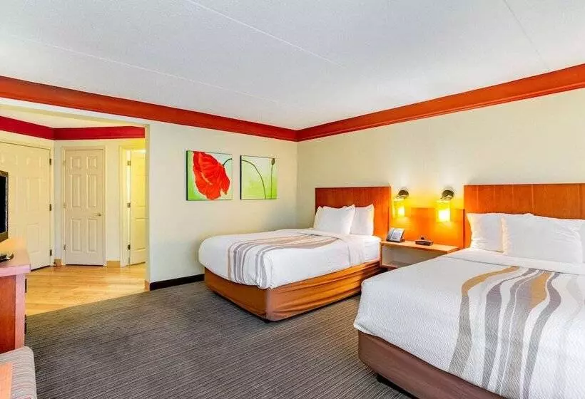 ２ダブルベッドのスタンダードルーム, La Quinta By Wyndham Raleigh/durham Southpoint
