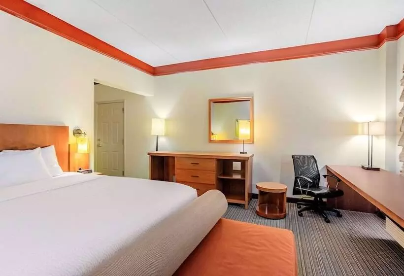 デラックスルーム, La Quinta By Wyndham Raleigh/durham Southpoint