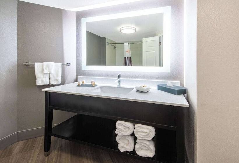 디럭스 룸, La Quinta By Wyndham Tampa Brandon Regency Park