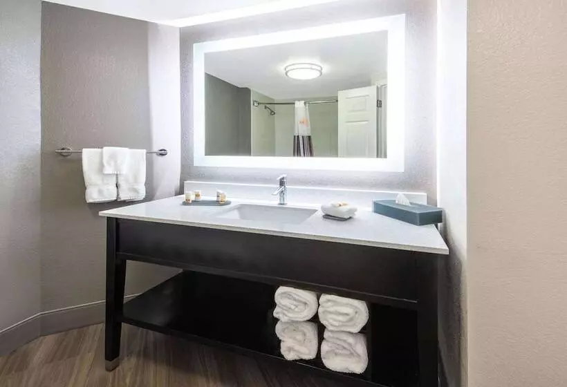 デラックスルーム, La Quinta By Wyndham Tampa Brandon Regency Park
