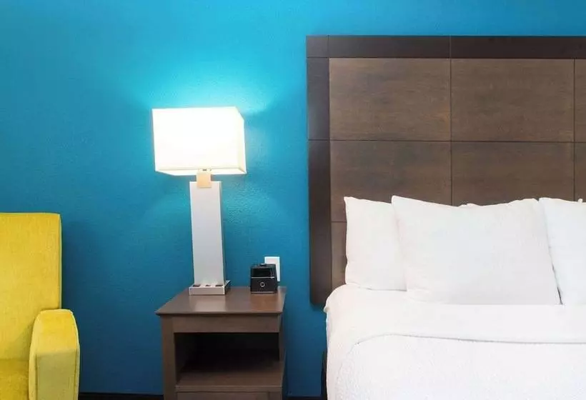 デラックスルーム, La Quinta By Wyndham Tampa Brandon Regency Park