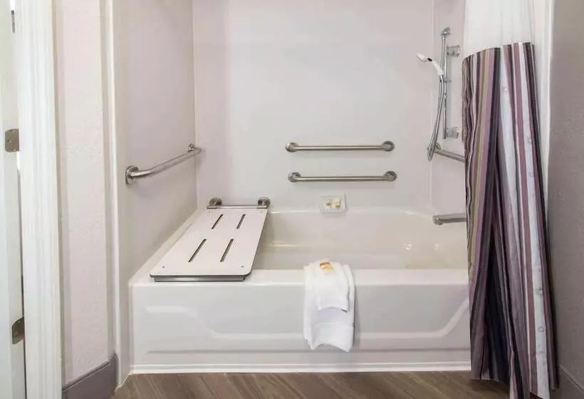 デラックスルーム, La Quinta By Wyndham Tampa Brandon Regency Park