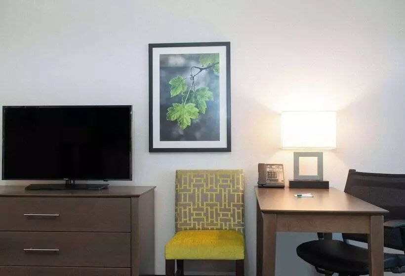 デラックスルーム, La Quinta By Wyndham Tampa Brandon Regency Park