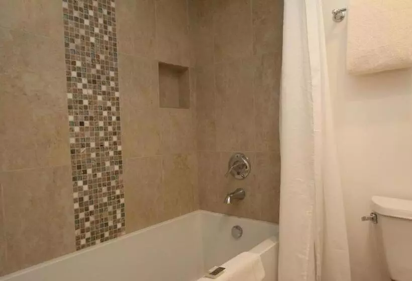 اتاق استاندارد با تخت بزرگ, Lobos Lodge