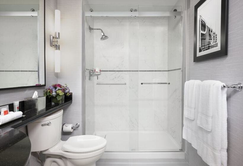 豪华房间, Loews Philadelphia