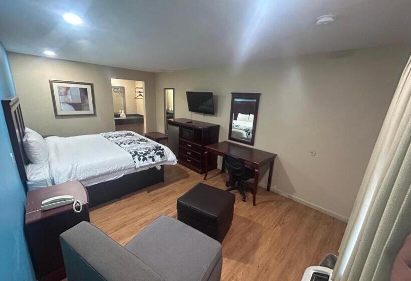 스탠다드 룸 킹사이즈 침대, Blue Star Inn