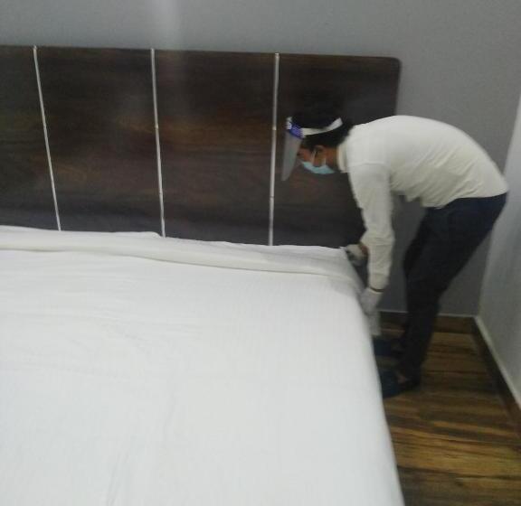 اتاق لوکس با تخت بزرگ, The Palm Tree Family Stay