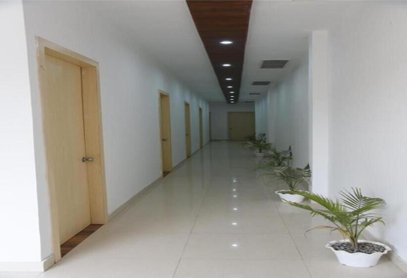 اتاق لوکس با تخت بزرگ, The Palm Tree Family Stay