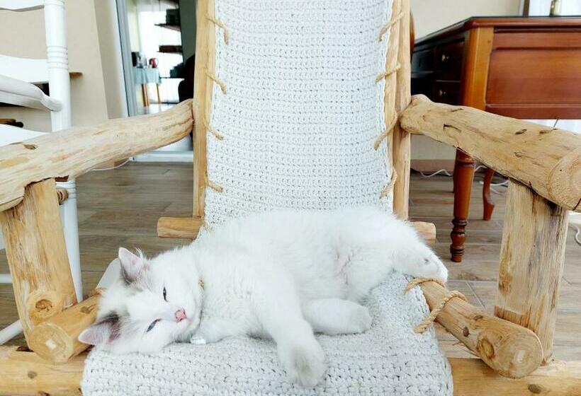 غرفة قياسية مطلّة علي الحديقة, Chambres D Hôtes Chez L Habitant   Bed& Breakfast Homestay