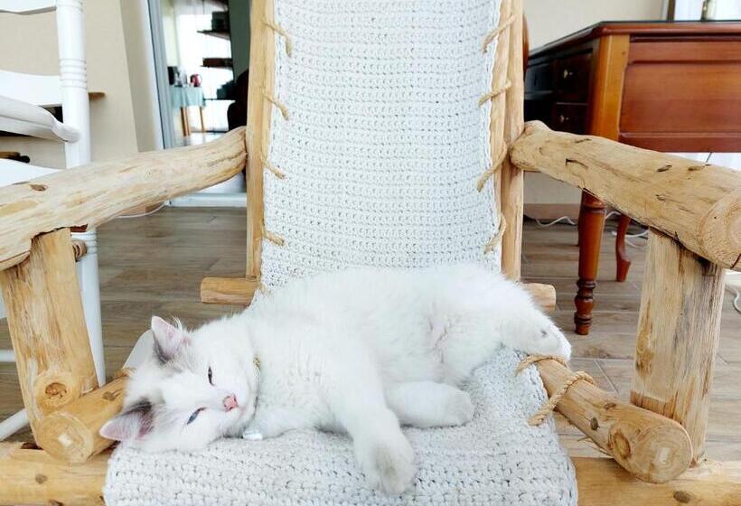 غرفة سوبيريور, Chambres D Hôtes Chez L Habitant   Bed& Breakfast Homestay