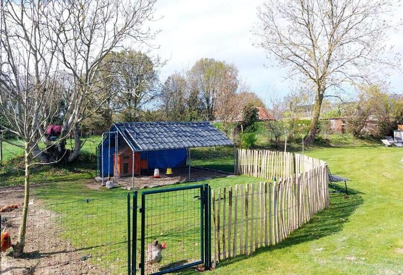 غرفة سوبيريور, Chambres D Hôtes Chez L Habitant   Bed& Breakfast Homestay