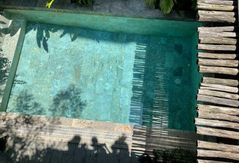 آپارتمان 1 خوابه با چشمانداز استخر, Chaca Beach