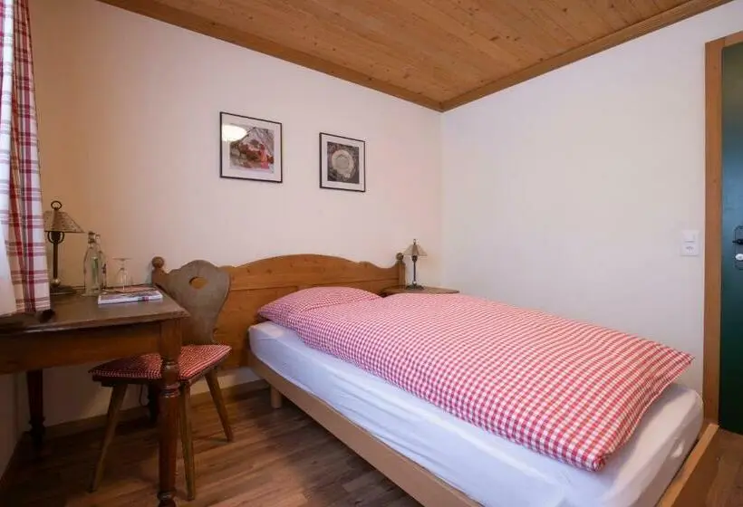 Standard Single Room, Bären
