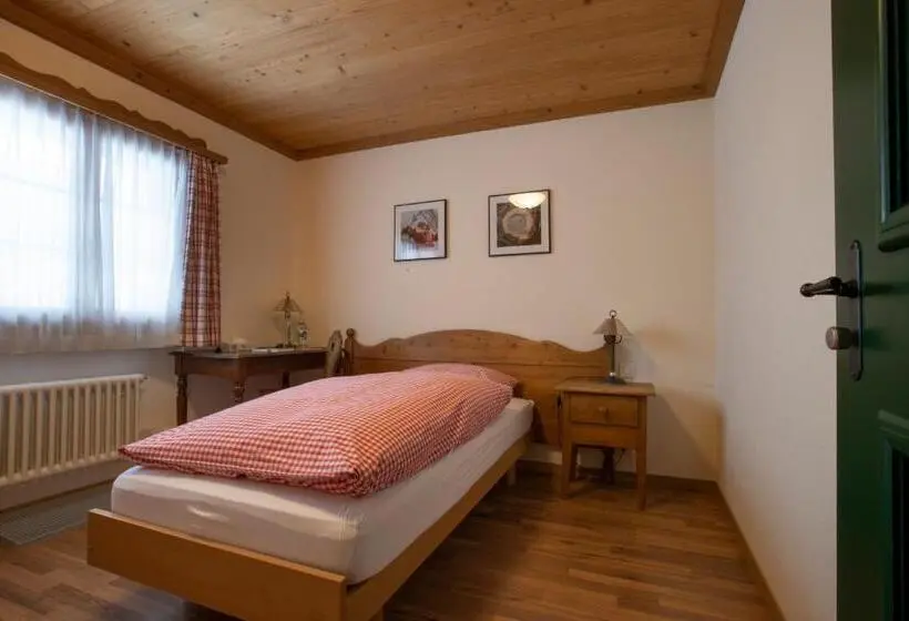 Standard Single Room, Bären