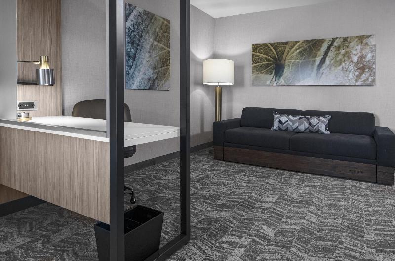 带大床的套房, Springhill Suites Winchester