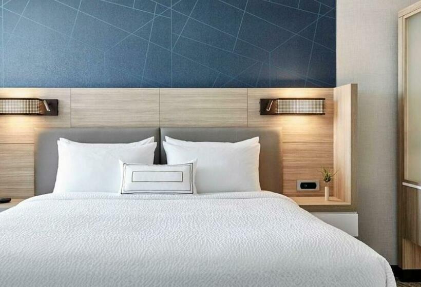 带大床的套房, Springhill Suites Winchester