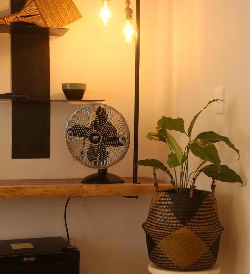 اتاق استاندارد, Agam