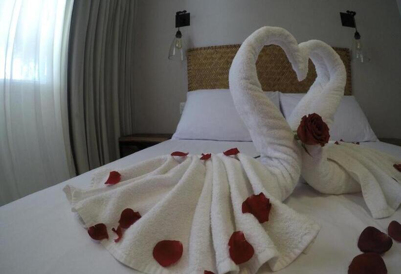 اتاق استاندارد, Agam