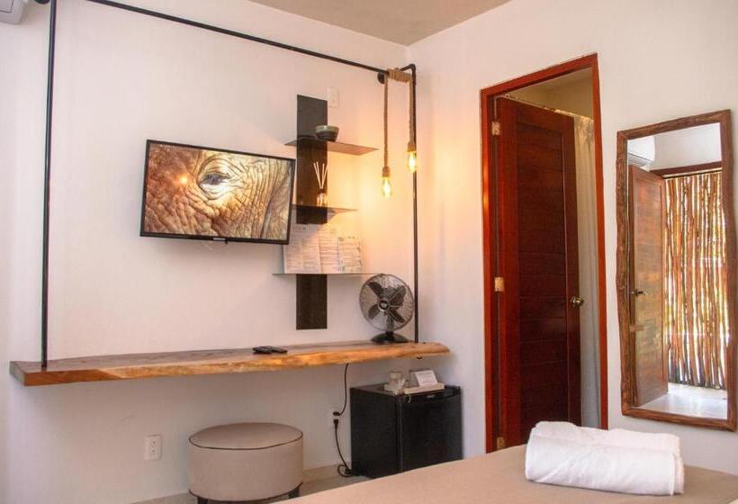 اتاق استاندارد, Agam