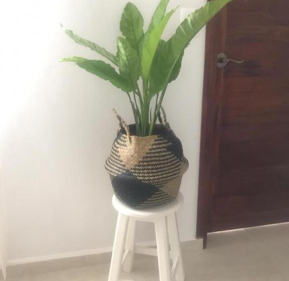 اتاق استاندارد, Agam