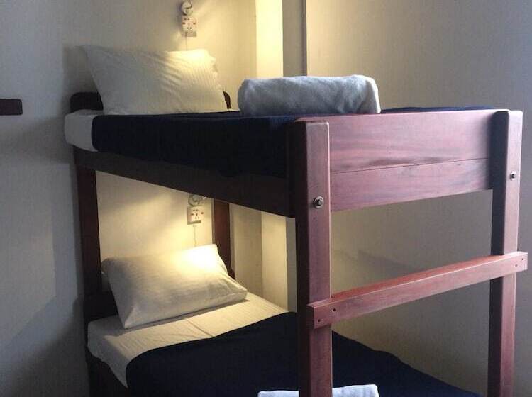 Llit en Habitació Compartida, Funk Bunk   Mount View Lodge