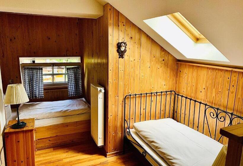 اتاق خانوادگی, Gästehaus Hohe Tannen