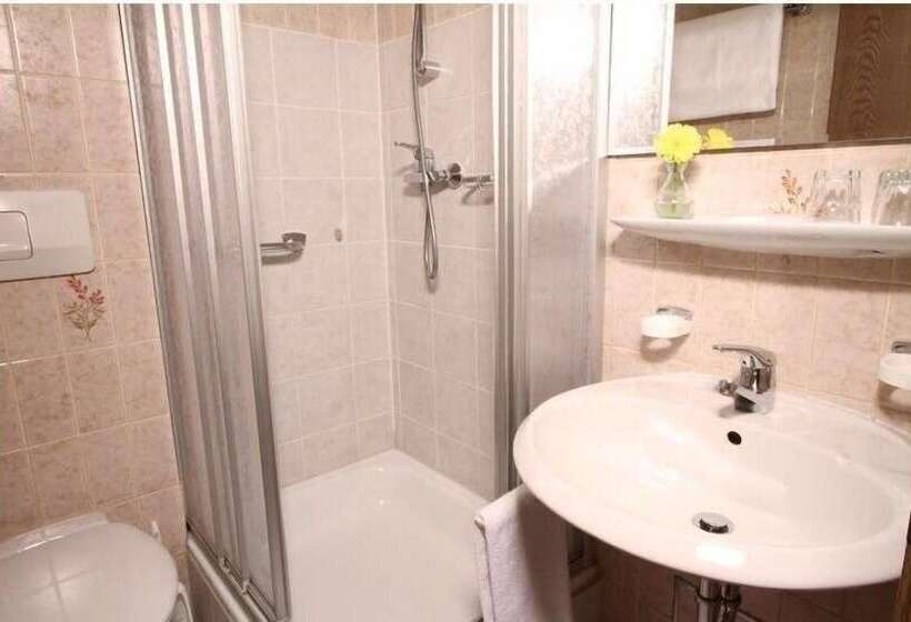 اتاق استاندارد یک نفره, Gästehaus Hohe Tannen