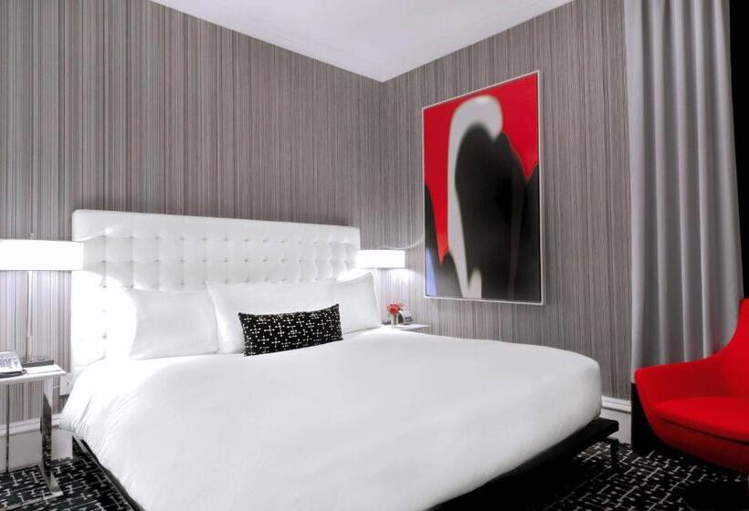 豪华房间, Moderne