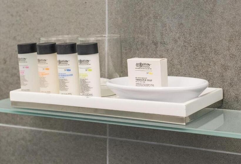 适合残疾人使用的标准间, Moderne