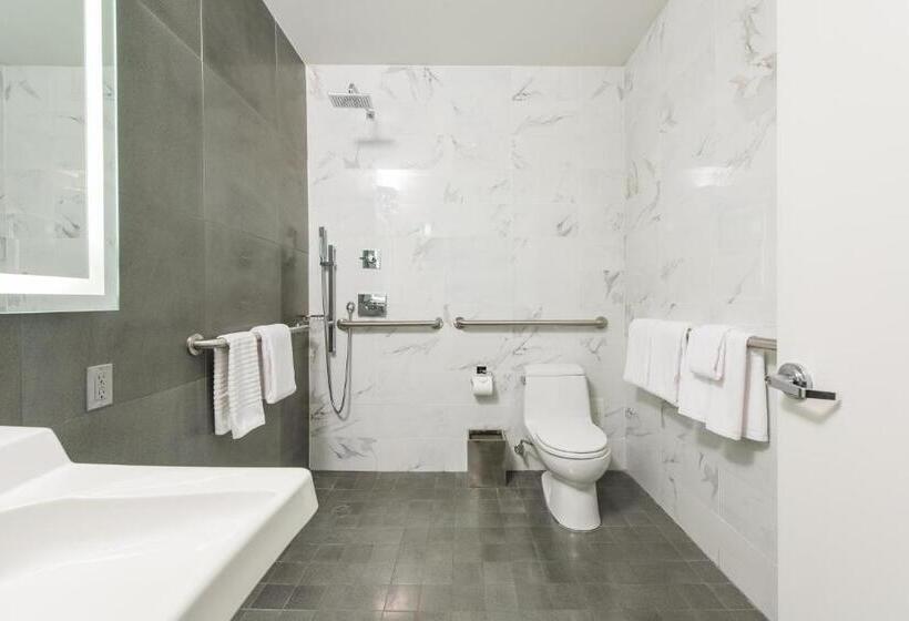 适合残疾人使用的标准间, Moderne