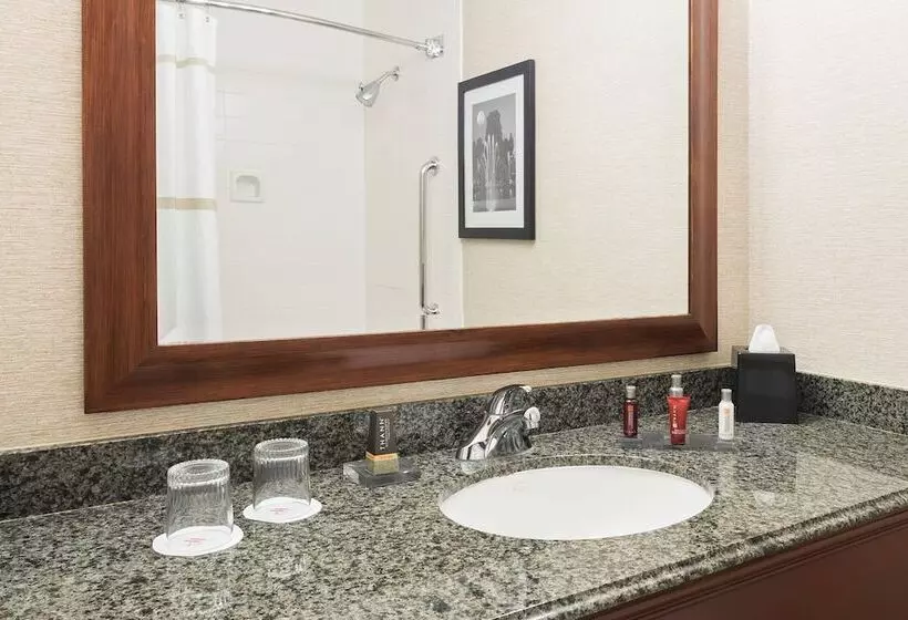 اتاق استاندارد با 2 تخت دوبل, Pittsburgh Marriott City Center