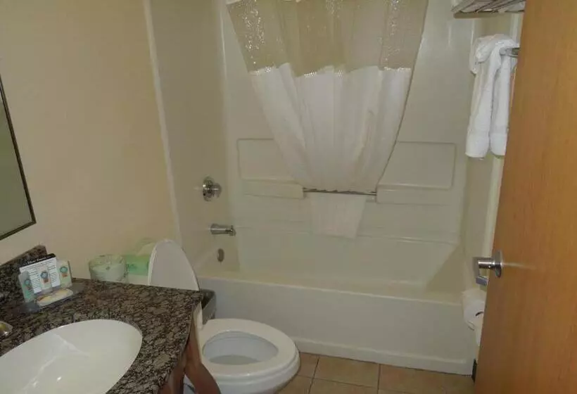 Standard-huone, Quality Inn & Suites North Polaris