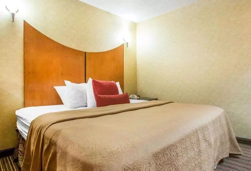 Sviitti King-vuode, Quality Inn & Suites North Polaris