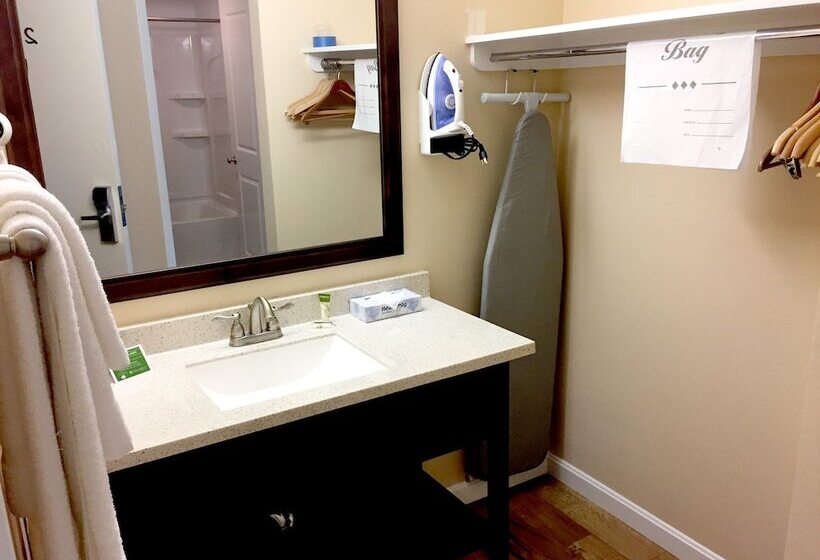 스탠다드 룸 더블 침대 2개, The Margate Resort