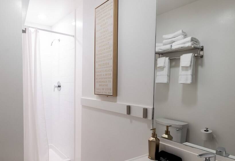 스탠다드 룸, The Metro