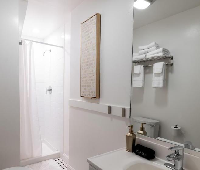 디럭스 룸, The Metro