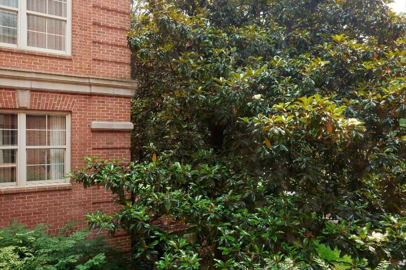 스탠다드 룸 퀸사이즈 침대, Westfields Marriott Washington Dulles