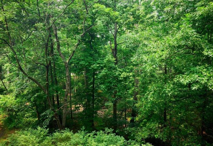 스탠다드 룸, Westfields Marriott Washington Dulles