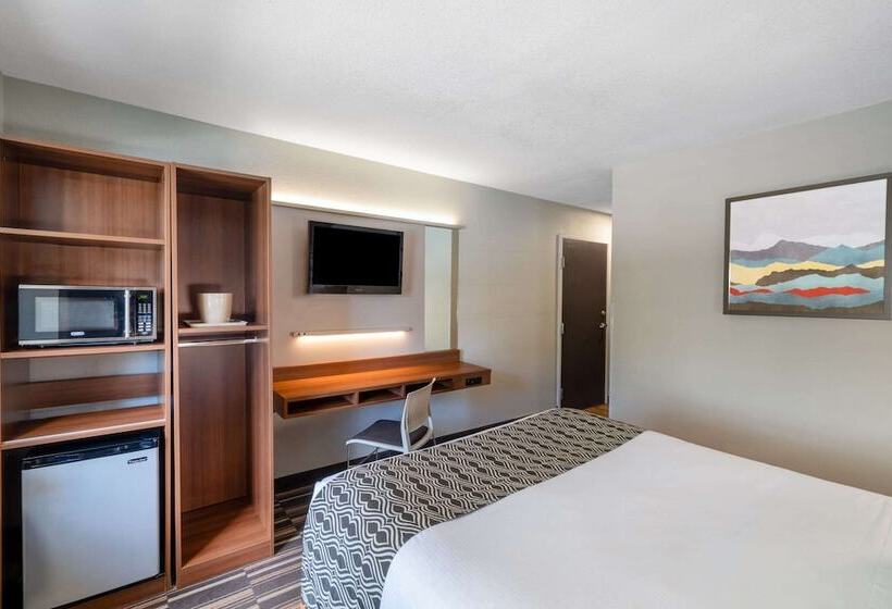 장애인을 위한 스탠다드 룸, Microtel Inn & Suites By Wyndham Savannah/pooler