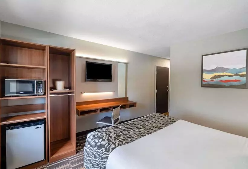 身障者適用スタンダードルーム, Microtel Inn & Suites By Wyndham Savannah/pooler