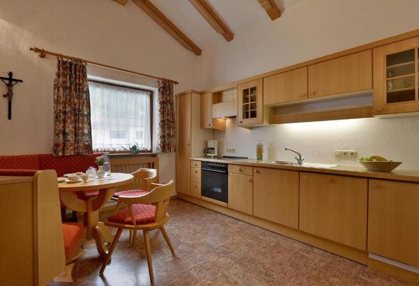 带1个卧室的高级公寓, Försterhaus & Haus Andrea