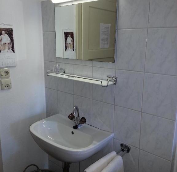 スタンダードシングルルーム, Gasthof Simony Hallstatt B&b