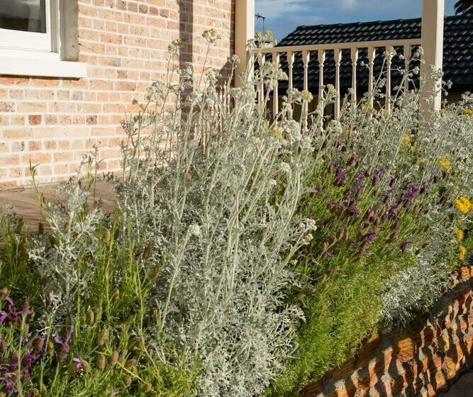 خانه 3 خوابه, Spencer Cottage