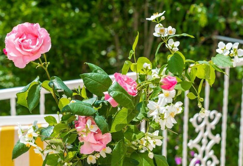 标准间内部标间, Villa Bind