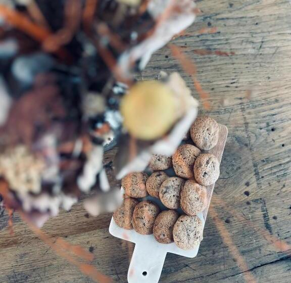 غرفة قياسية مزوَّدة بتراس, ô Chambres D Hôtes