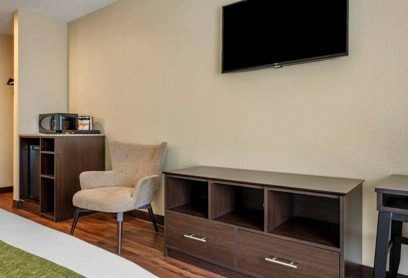 标准间带双人床, Comfort Inn