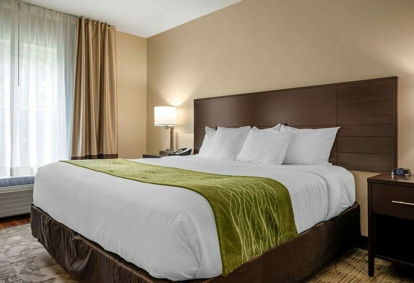 标准间带双人床, Comfort Inn