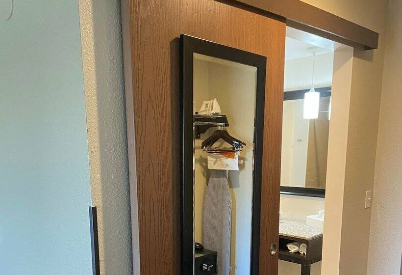 标准间带双人床, Comfort Inn