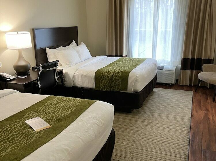 스탠다드 룸 더블 침대 2개, Comfort Inn