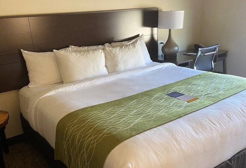 标准间带双人床, Comfort Inn